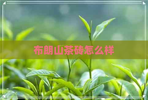 布朗山茶砖怎么样