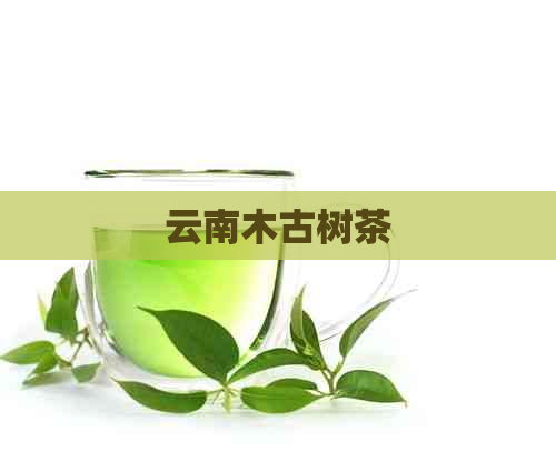 云南木古树茶