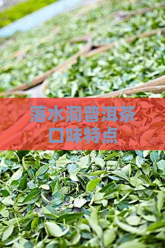 落水洞普洱茶口味特点