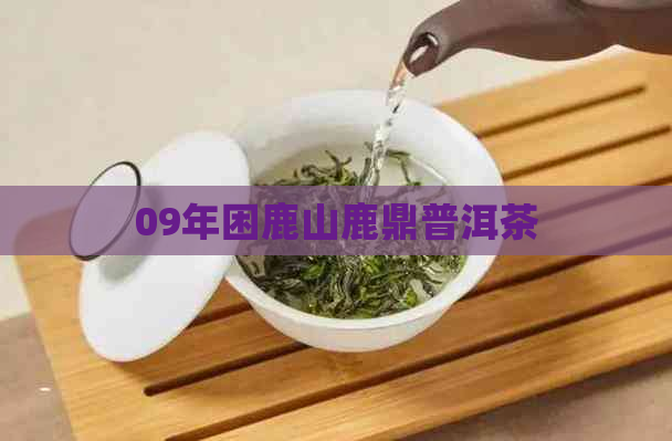 09年困鹿山鹿鼎普洱茶