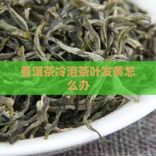 普洱茶冷泡茶叶发黄怎么办