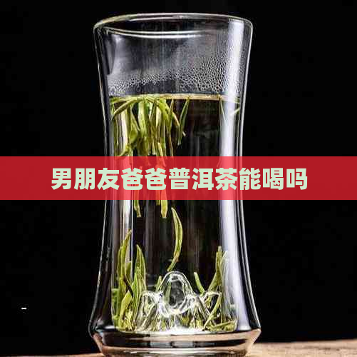 男朋友爸爸普洱茶能喝吗