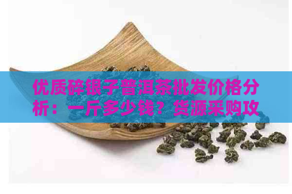 优质碎银子普洱茶批发价格分析：一斤多少钱？货源采购攻略