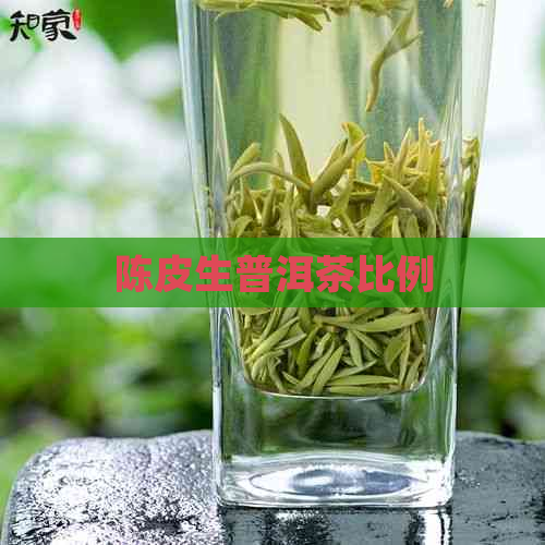 陈皮生普洱茶比例