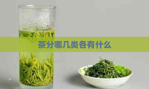 茶分哪几类各有什么