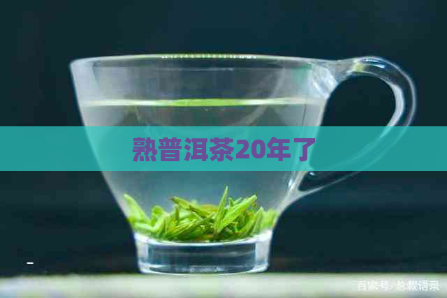 熟普洱茶20年了