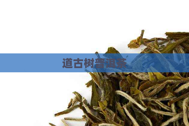 道古树普洱茶