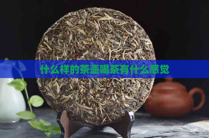 什么样的茶壶喝茶有什么感觉