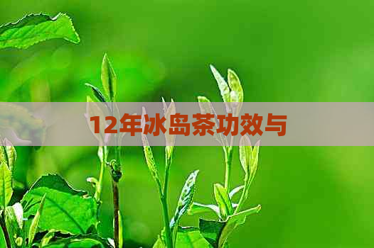 12年冰岛茶功效与