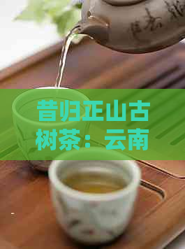 昔归正山古树茶：云南特色茶叶品种与市场分析