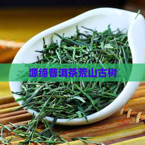 源缔普洱茶荒山古树