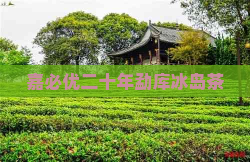 嘉必优二十年勐库冰岛茶