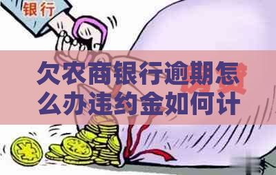 欠农商银行逾期怎么办违约金如何计算