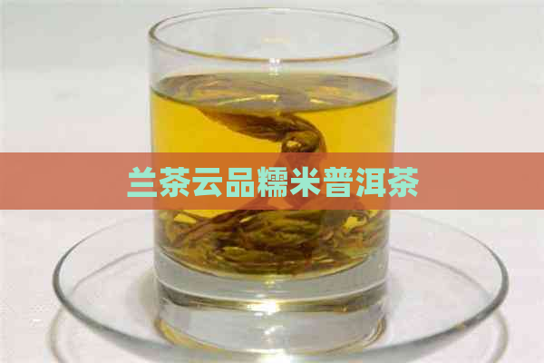 兰茶云品糯米普洱茶