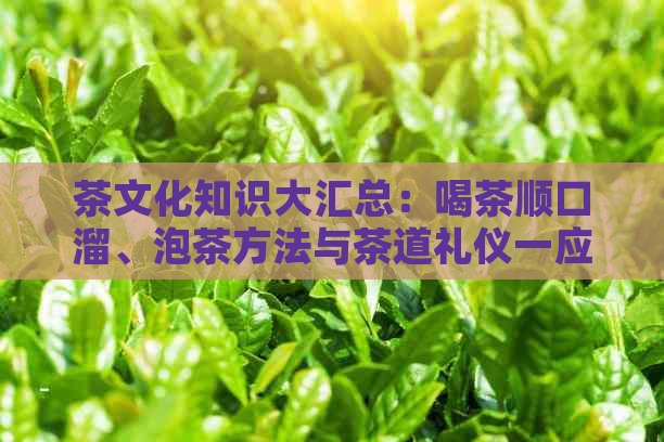 茶文化知识大汇总：喝茶顺口溜、泡茶方法与茶道礼仪一应俱全