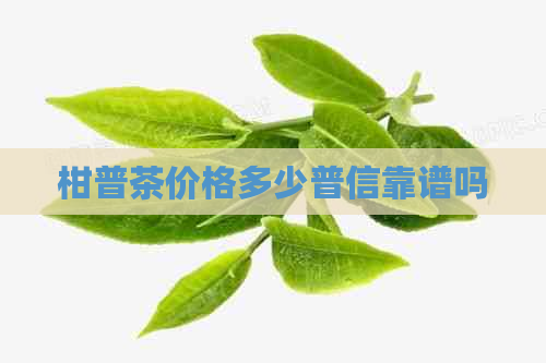 柑普茶价格多少普信靠谱吗