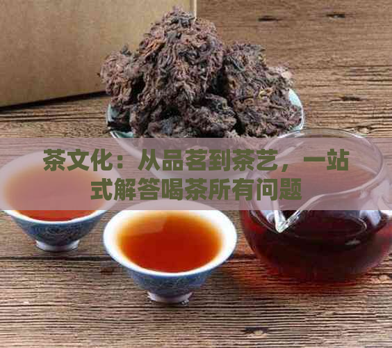 茶文化：从品茗到茶艺，一站式解答喝茶所有问题