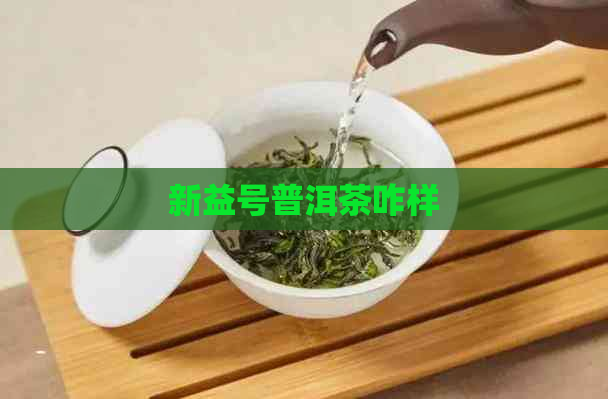 新益号普洱茶咋样