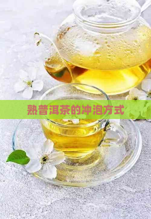 熟普洱茶的冲泡方式