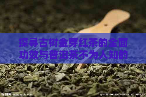 探寻古树金芽红茶的全面功效与普洱茶不为人知的作用