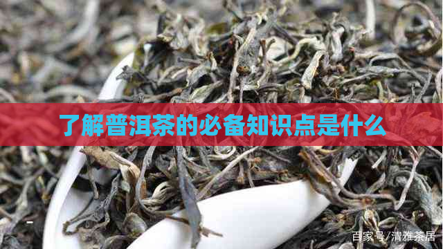 了解普洱茶的必备知识点是什么