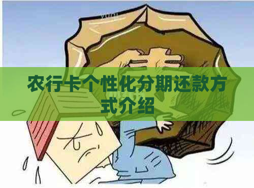 农行卡个性化分期还款方式介绍