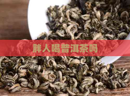 胖人喝普洱茶吗