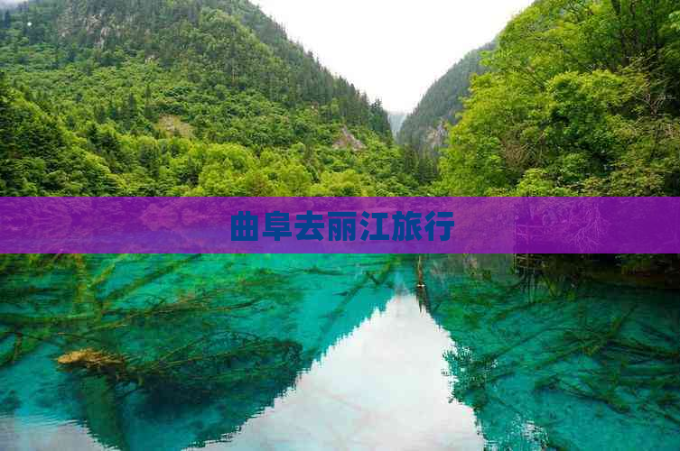 曲阜去丽江旅行