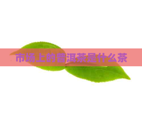 市场上的普洱茶是什么茶