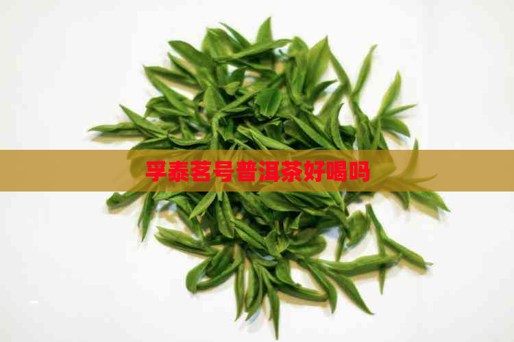 孚泰茗号普洱茶好喝吗