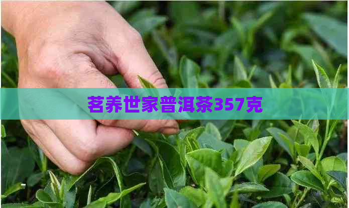 茗养世家普洱茶357克