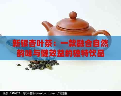 新银杏叶茶：一款融合自然韵味与健效益的独特饮品