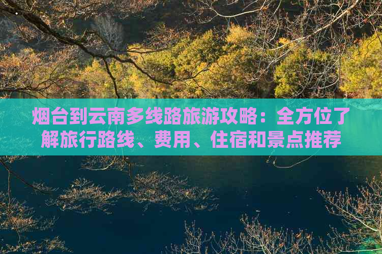 烟台到云南多线路旅游攻略：全方位了解旅行路线、费用、住宿和景点推荐