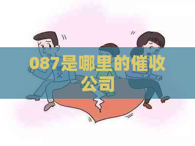 087是哪里的公司