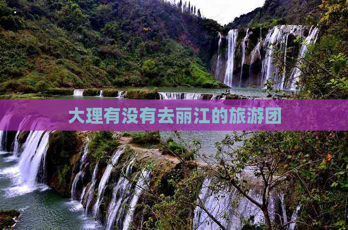 大理有没有去丽江的旅游团