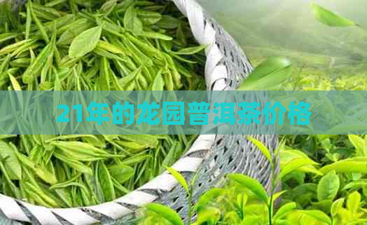 21年的龙园普洱茶价格