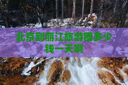 北京到丽江旅游团多少钱一天啊