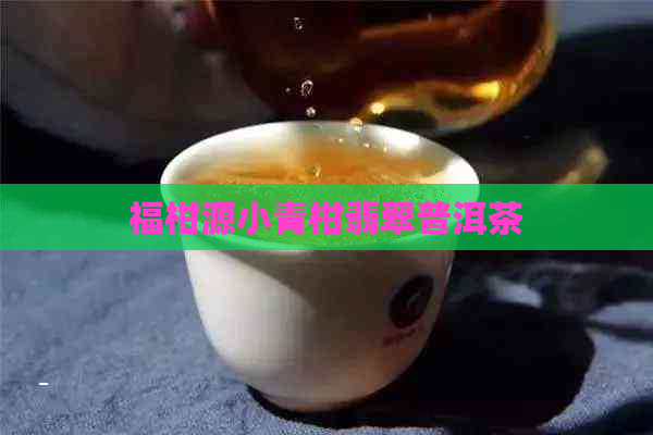 福柑源小青柑翡翠普洱茶