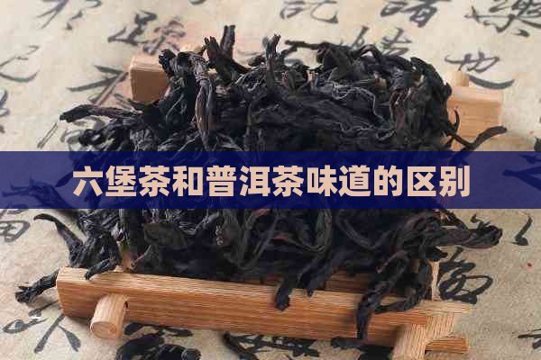 六堡茶和普洱茶味道的区别