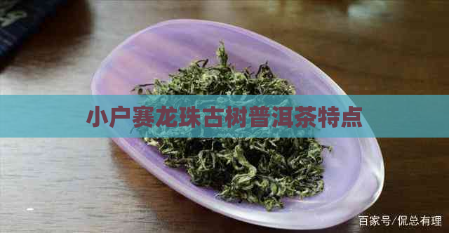 小户赛龙珠古树普洱茶特点