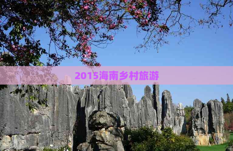 2015海南乡村旅游