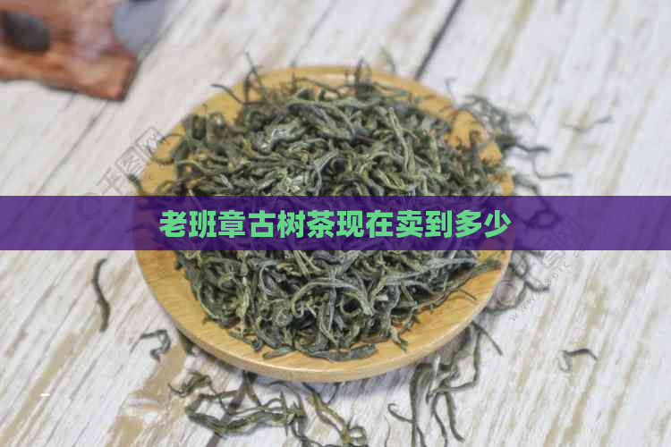 老班章古树茶现在卖到多少