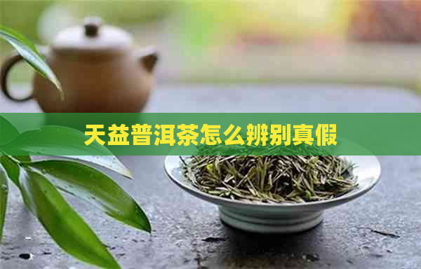 天益普洱茶怎么辨别真假