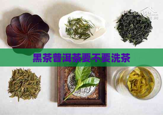 黑茶普洱茶要不要洗茶