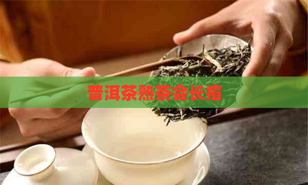 普洱茶熟茶会长痘