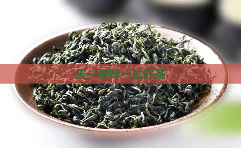 天一茶叶一贯好茶