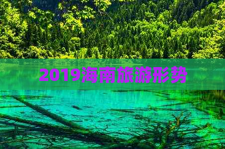 2019海南旅游形势