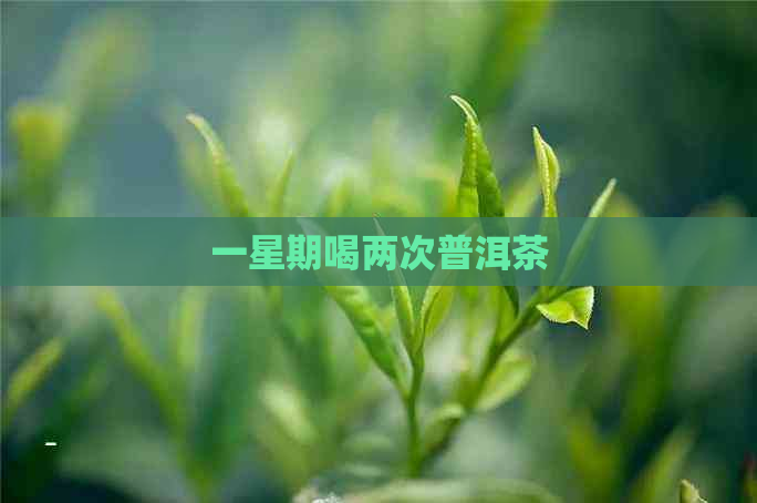 一星期喝两次普洱茶