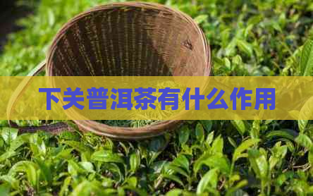 下关普洱茶有什么作用