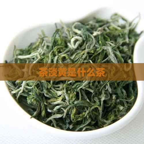 茶淡黄是什么茶